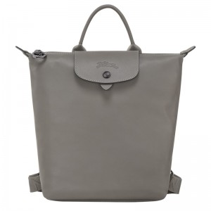 Longchamp Le Pliage Xtra S Backpack Turtledove | 8123ATPIE