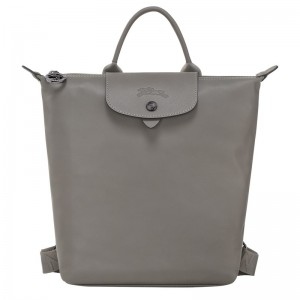 Longchamp Le Pliage Xtra S Backpack Turtledove | 4502KCAEH