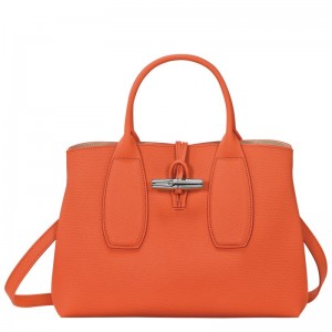 Longchamp Le Roseau M Handbag Orange | 1423UNQIY