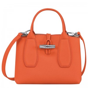 Longchamp Le Roseau S Handbag Orange | 6513PXOLB