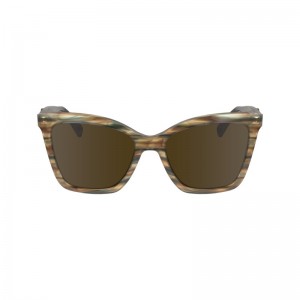 Longchamp Sunglasses Braun | 1042QHNDS