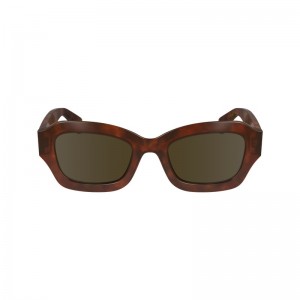 Longchamp Sunglasses Braun | 3815OQZXG