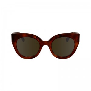 Longchamp Sunglasses Braun | 8735NRLCT