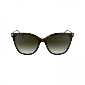 Longchamp Sunglasses Dunkel | 0145PBGJO