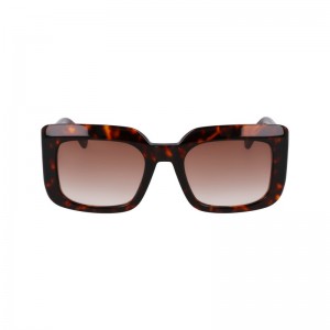 Longchamp Sunglasses Dunkel | 3648ZYXMH