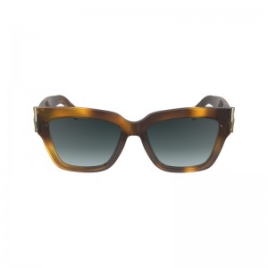 Longchamp Sunglasses Havana | 3587KOWVN