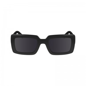 Longchamp Sunglasses Schwarz | 6934RVMPQ