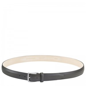 Longchamp Végétal Belt Grau | 2957IYNQO