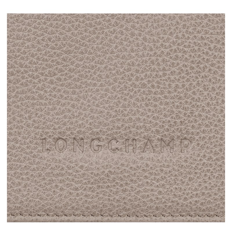 Longchamp Le Foulonné Wallet Turtledove | 2678ZKJHG