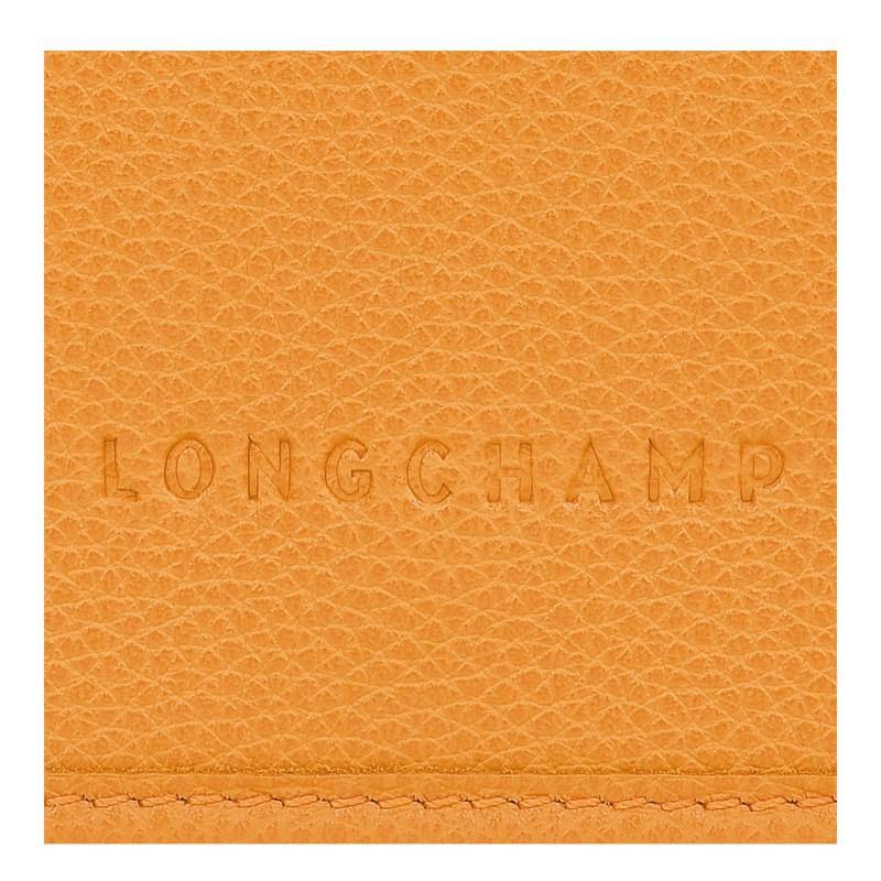 Longchamp Le Foulonné Xs Clutch Aprikose | 4156EYUMQ