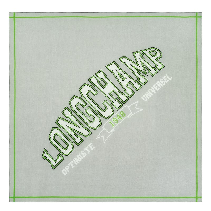 Longchamp Le Pliage University Scarf Grau | 2704VMDPY