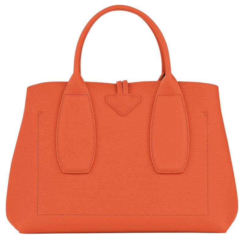 Longchamp Le Roseau M Handbag Orange | 1423UNQIY