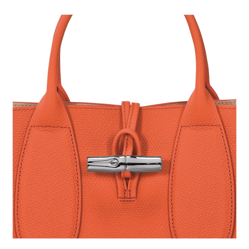 Longchamp Le Roseau M Handbag Orange | 1423UNQIY