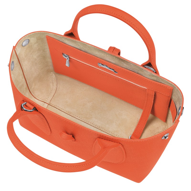 Longchamp Le Roseau S Handbag Orange | 6513PXOLB