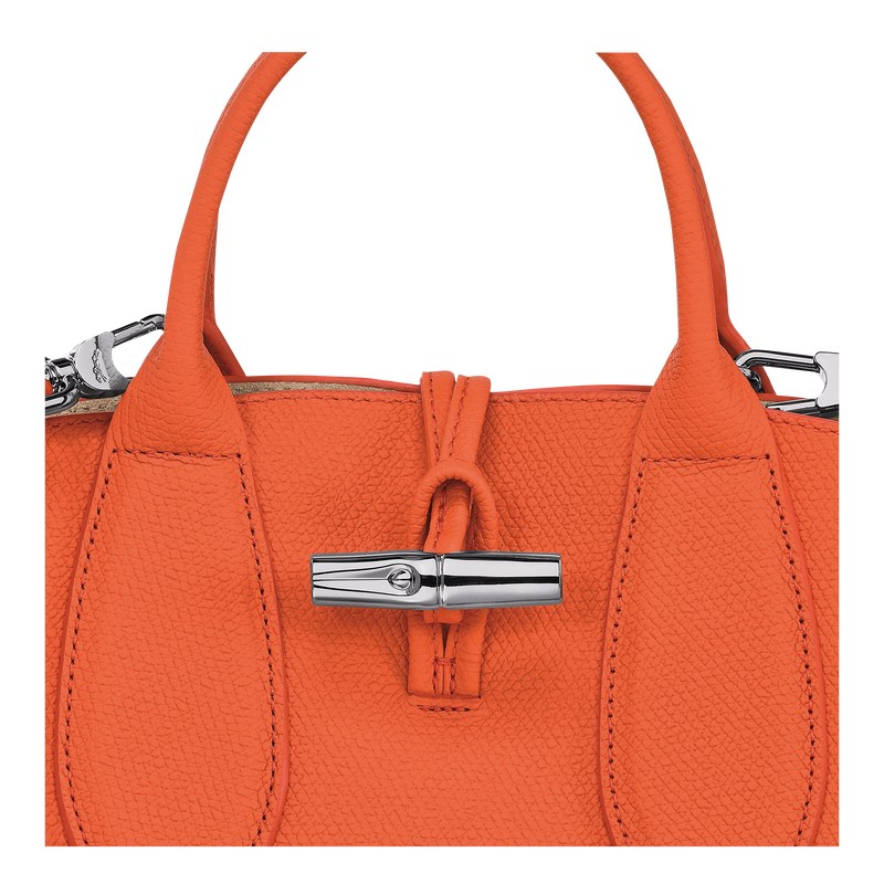 Longchamp Le Roseau S Handbag Orange | 6513PXOLB