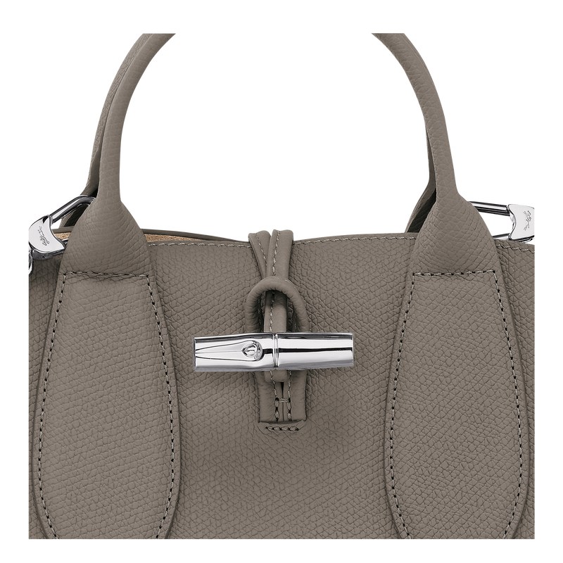 Longchamp Le Roseau S Handbag Turtledove | 6715BXOMT