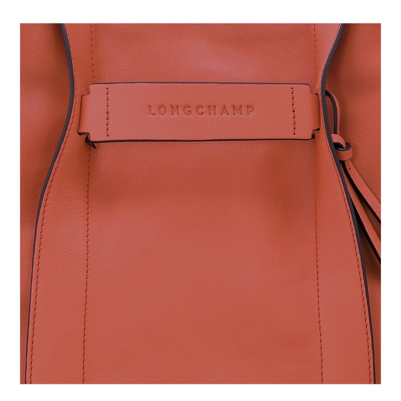 Longchamp Longchamp 3d M Hobo Bag Sienna | 3872NBWIZ