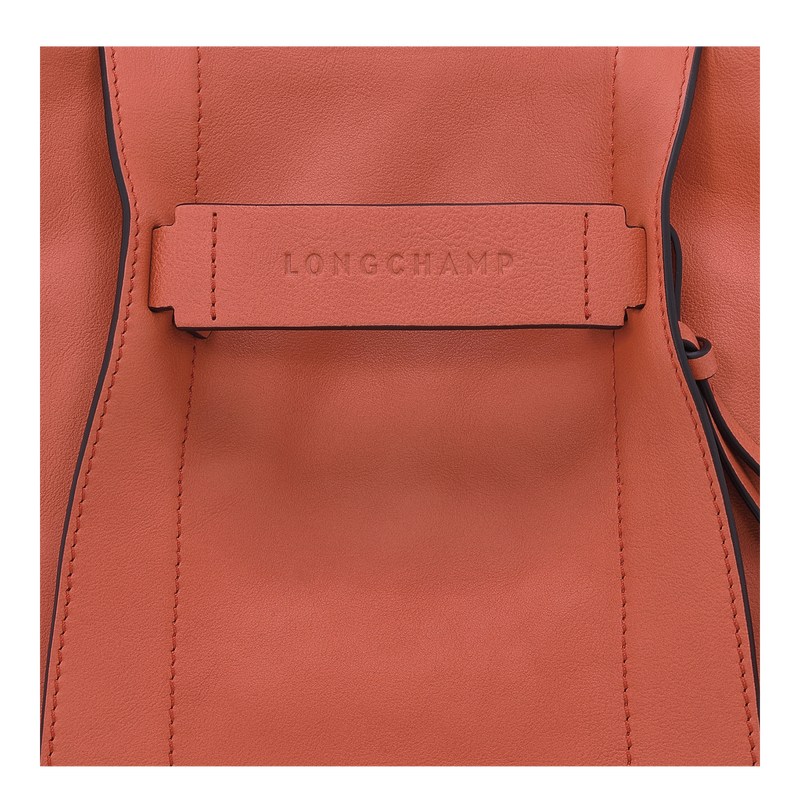 Longchamp Longchamp 3d S Crossbody Bag Sienna | 5849LYIWE