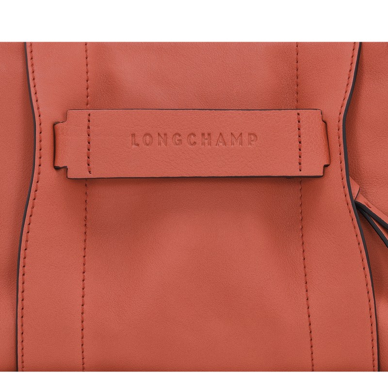 Longchamp Longchamp 3d S Crossbody Bag Sienna | 5843NHUOV