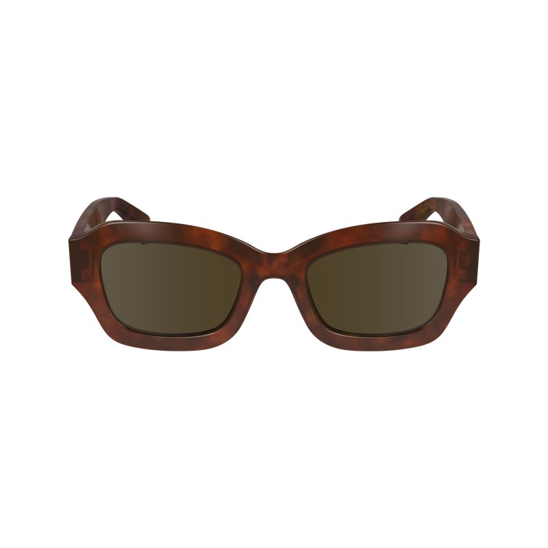 Longchamp Sunglasses Braun | 3815OQZXG