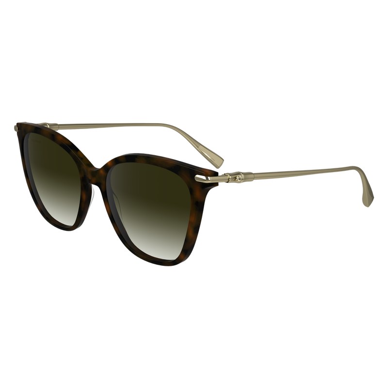 Longchamp Sunglasses Dunkel | 0145PBGJO