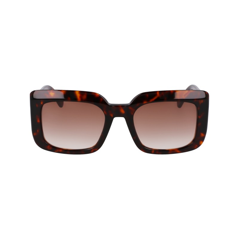 Longchamp Sunglasses Dunkel | 3648ZYXMH