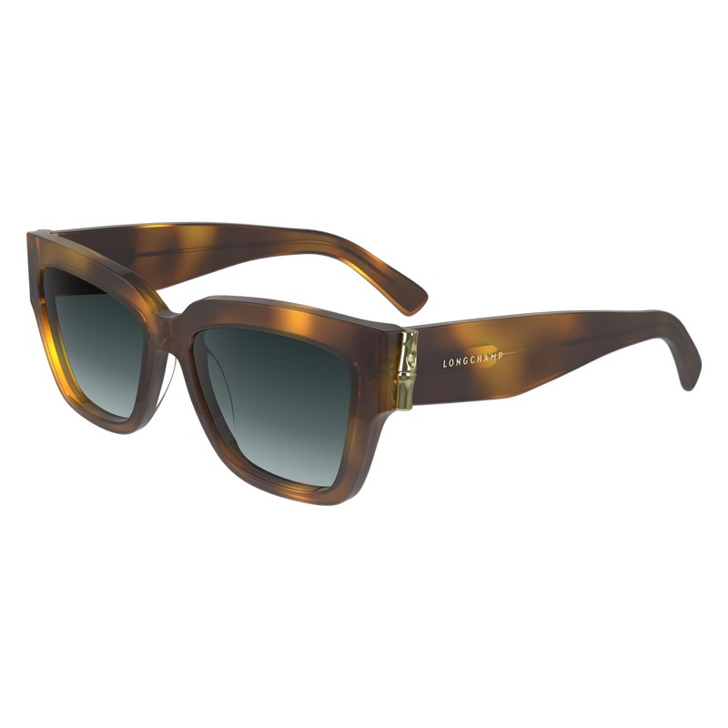 Longchamp Sunglasses Havana | 3587KOWVN