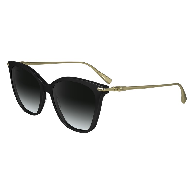 Longchamp Sunglasses Schwarz | 3815WOLVX