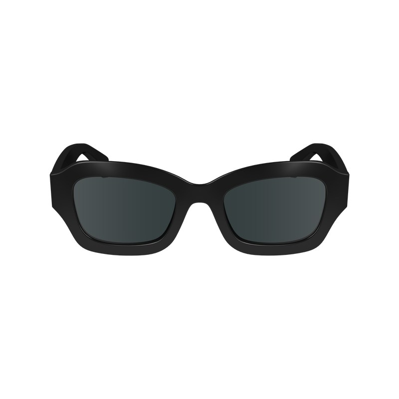 Longchamp Sunglasses Schwarz | 3947DLZON