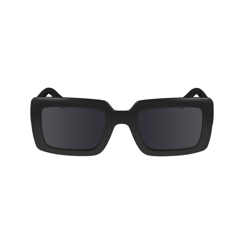 Longchamp Sunglasses Schwarz | 6934RVMPQ